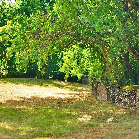 Hébergement de vacances La Maison Des Bois Compeyre