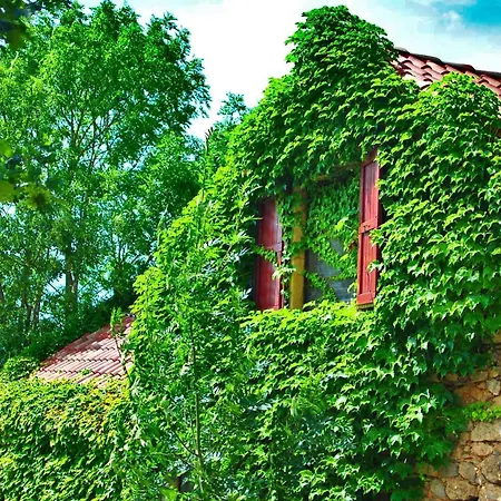 La Maison Des Bois * Compeyre